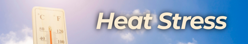 Monsoon Awareness Header: Heat - An image of a thermometer with mercury climbing is shown with text that reads: Heat Stress