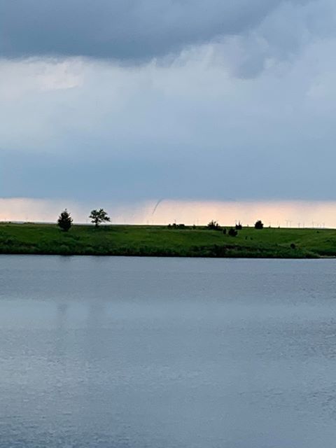 Tree snapped 2 miles west of Westport, SD (Kristi Burns)