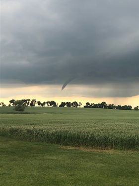 Tree snapped 2 miles west of Westport, SD (Kristi Burns)