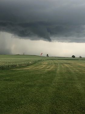 Tree snapped 2 miles west of Westport, SD (Kristi Burns)