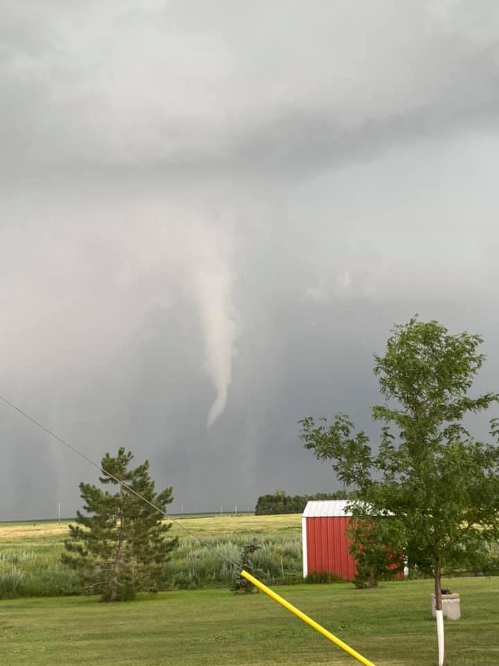 Tree uprooted 2 miles west of Westport, SD (Kristi Burns)