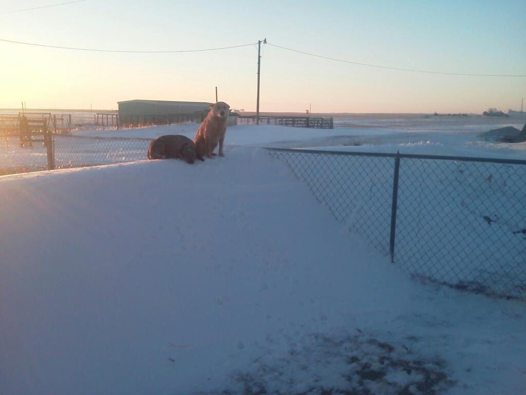 Snow in Turpin, OK