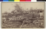 This photo was taken in North Rochester near the Cook and Proud residences. People are looking through piles of rubble. A dead horse is in the foreground, possibly impaled with a tree or branch.