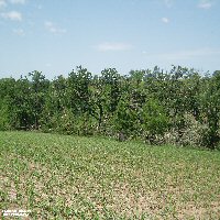 tornado damage