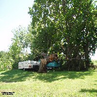 tornado damage