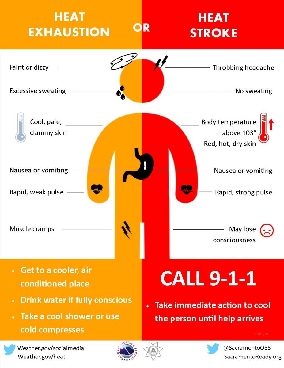 heat illness graphic