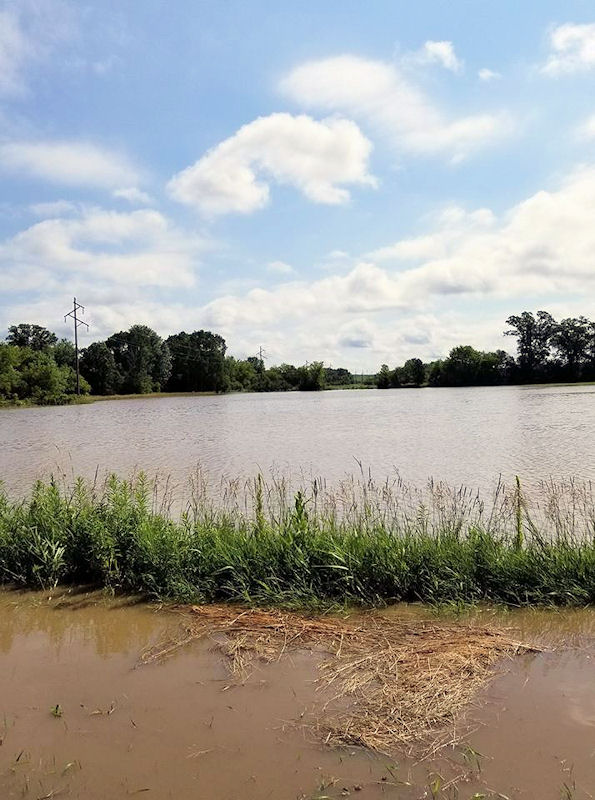 Flooding in Hegg, WI in Trempealeau County (Daryl Tjerstad)