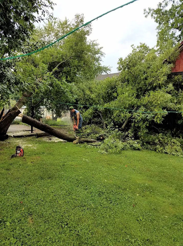 Wind damage in Ontario, WI (Candie Dunwald)