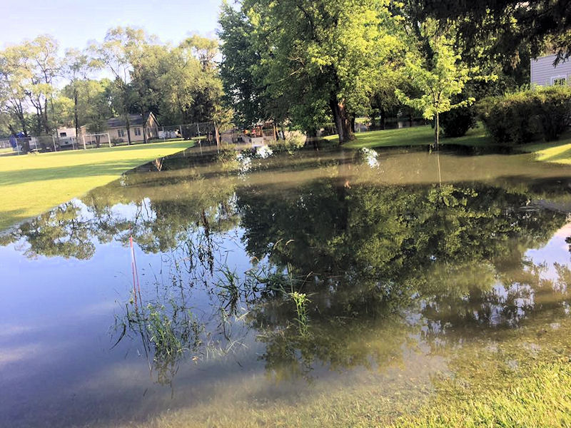 Flooding in Norwalk, WI (Carsen Culpitt)