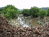 Debris backup along bridge near Bagley, WI