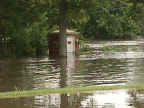 link to larger image of flood damage