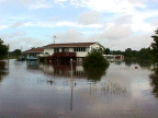 link to larger image of flood damage