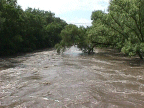 link to larger image of flood damage