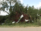 link to larger image of tornado damage