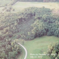 damage to trees