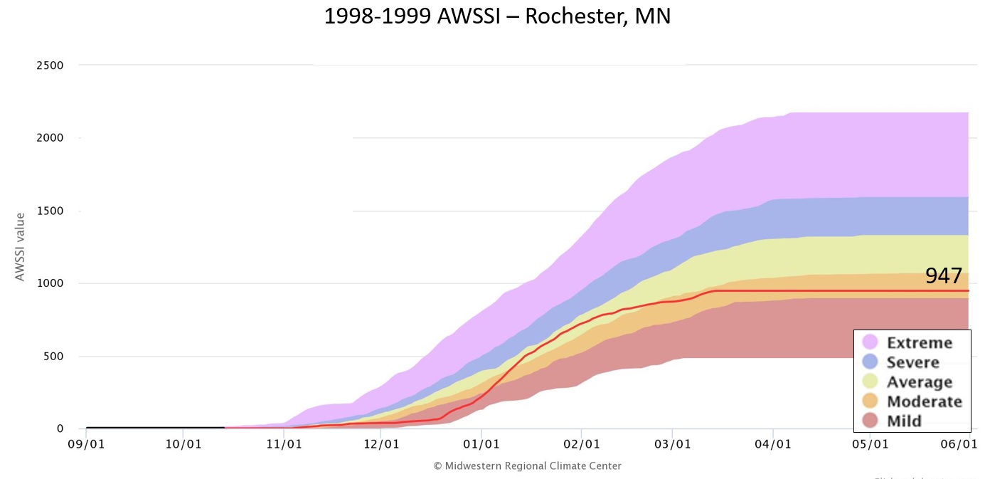 1998-99 AWSSI for Rochester, MN