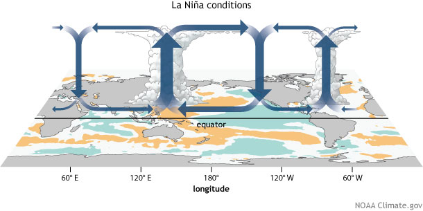 Generalized Walker Circulation (December-February) anomaly during La NiÃ±a events, overlaid on map of average sea surface temperature anomalies. Anomalous ocean cooling (blue-green) in the central and eastern Pacific Ocean and warming over the western Pacific Ocean enhance the rising branch of the Walker circulation over the Maritime Continent and the sinking branch over the eastern Pacific Ocean. Enhanced rising motion is also observed over northern South America, while anomalous sinking motion is found over eastern Africa. NOAA Climate.gov drawing by Fiona Martin. 