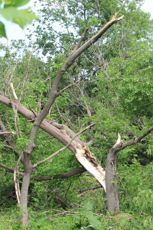 tornado damage