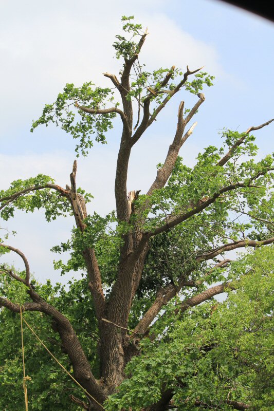 tornado damage