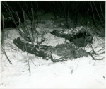 A few of the hunters who died in the storm.   Source: Minneapolis Star Journal 