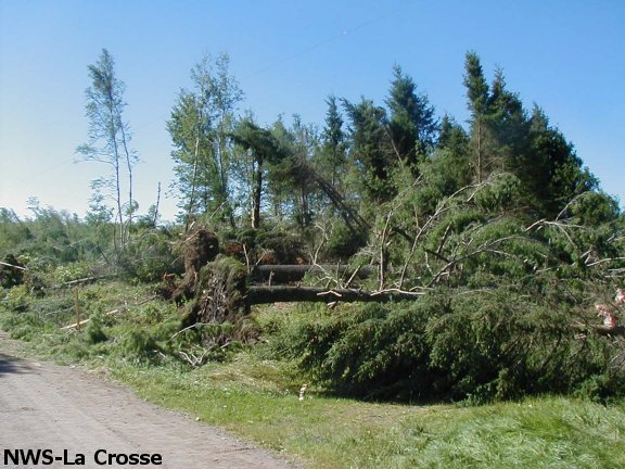 tornado damage