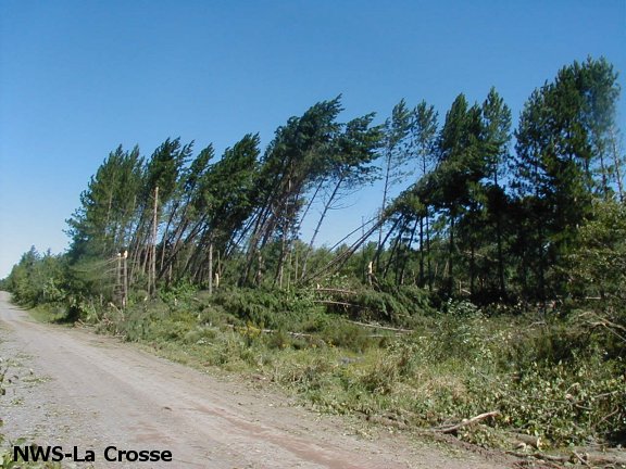 tornado damage