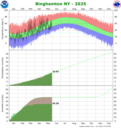 Binghamton, NY Precipitation