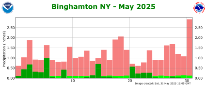 Binghamton, NY Precipitation