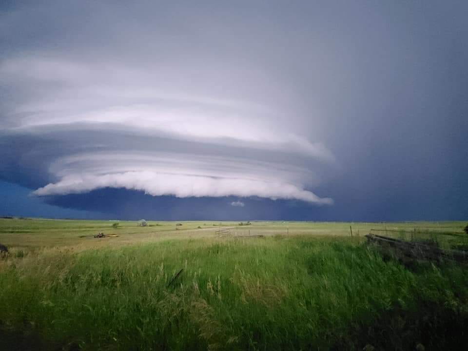 Mott Supercell