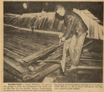 Man sorting debris