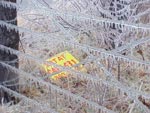 icy fence in randolph county