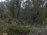 Autauga Co. Damage