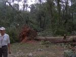 Autauga Co. Damage