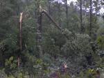 Autauga Co. Damage