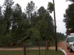 Autauga Co. Damage