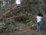 Autauga Co. Damage