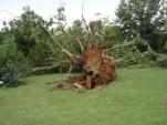 Elmore Co. Damage