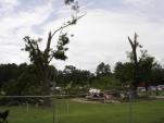 Montgomery Co. Damage