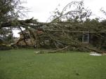 Calhoun Co. Damage