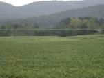 Calhoun Co. Damage