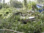 Macon Tornado Damage