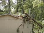 Macon Tornado Damage