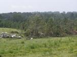 Tallapoosa Co. Damage