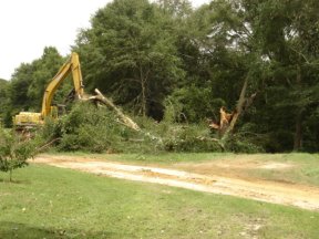 Tornado Image