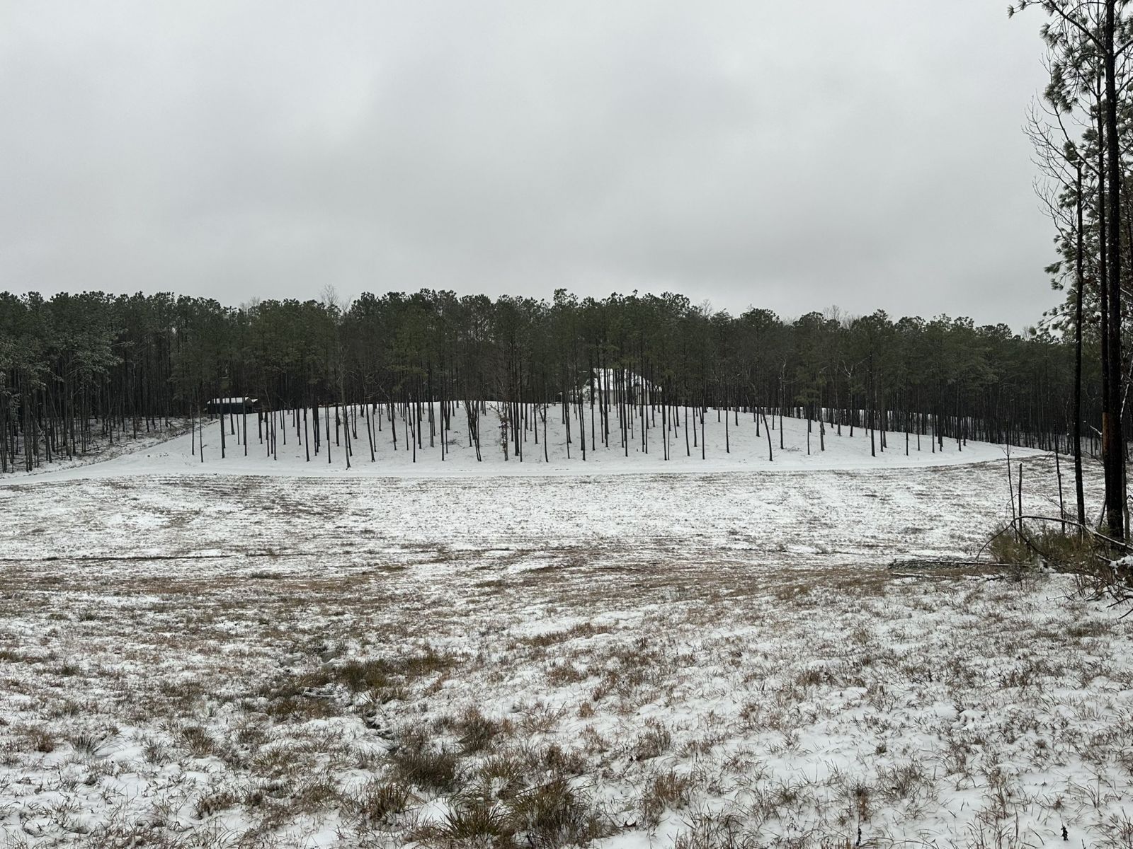 Snow Photo