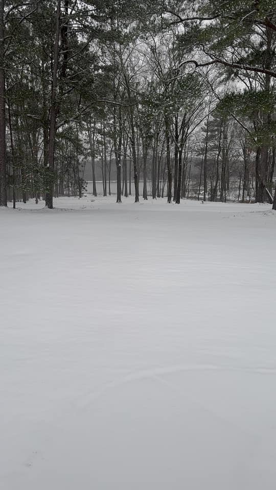 Snow Photo