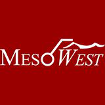 MESOWEST OBS DISPLAY