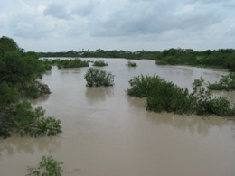 Swollen Arroyo Colorado along Loop 499 in Harlingen (click to enlarge)