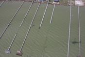 Close up view of dock damage, Port Mansfield (click to enlarge)