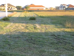 Frost on grass in North Brownsville, December 5, 2009 (click to enlarge)